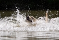 08 Wasseraction